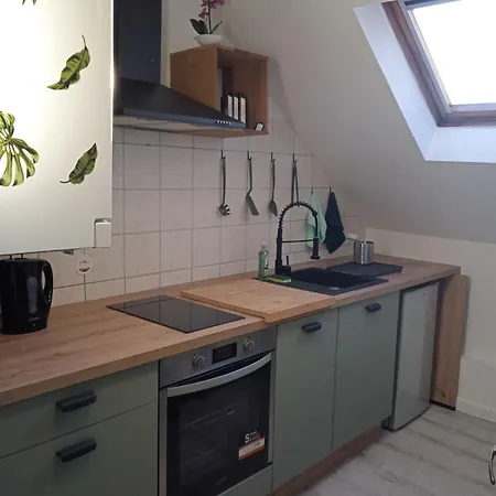 La Mulhousienne F3 Centre Mulhouse