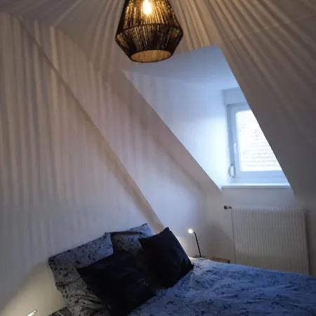 La Mulhousienne F3 Centre Apartament