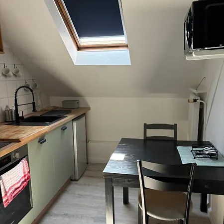 La Mulhousienne F3 Centre Apartament Miluza