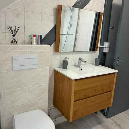 La Mulhousienne F3 Centre Apartament *