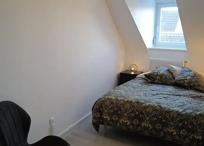 La Mulhousienne F3 Centre