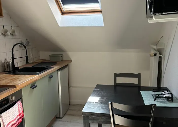 La Mulhousienne F3 Centre Διαμέρισμα Μυλούζη