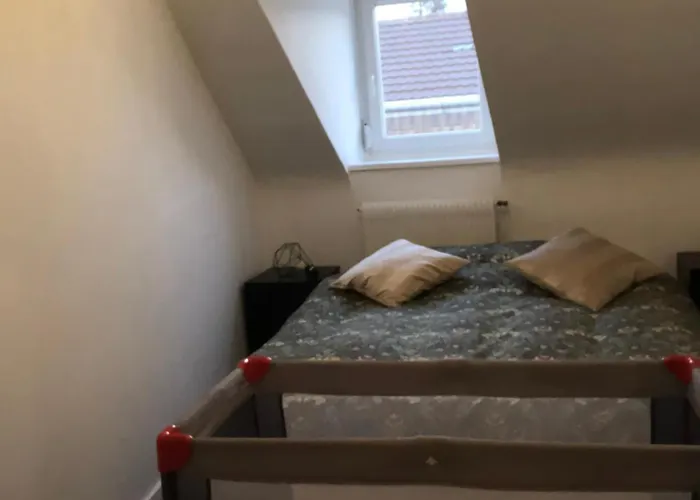 La Mulhousienne F3 Centre Διαμέρισμα Μυλούζη