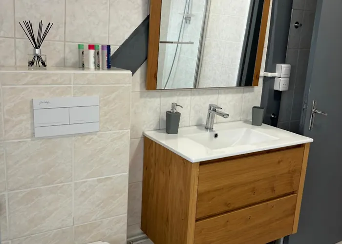 La Mulhousienne F3 Centre Διαμέρισμα *